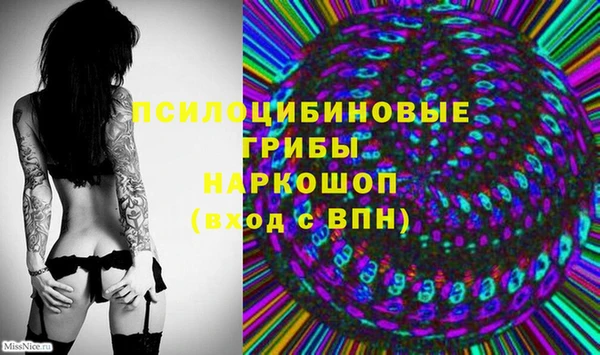 индика Алексин