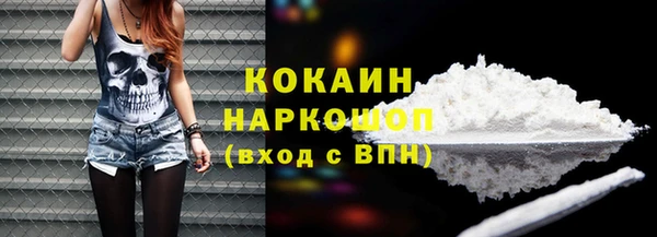 индика Алексин