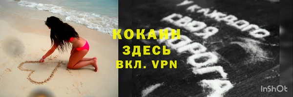 винт Абаза
