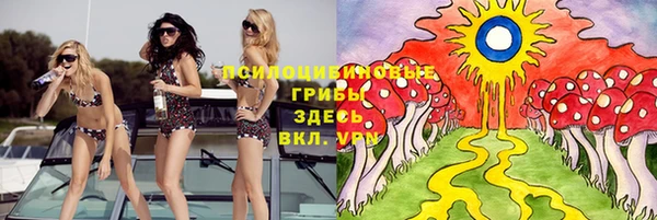 гидропоника Абинск