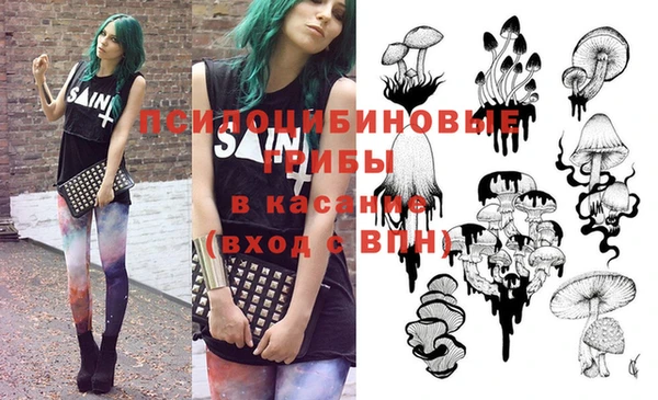 винт Абаза