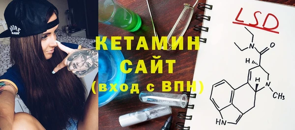 индика Алексин