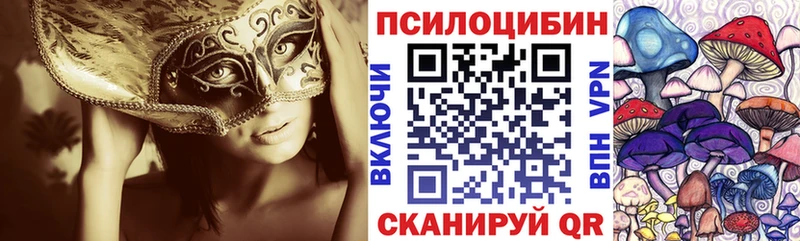 Псилоцибиновые грибы GOLDEN TEACHER  даркнет Telegram  Вилюйск 